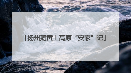 扬州鹅黄土高原“安家”记