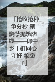 抢收抢种争分秒 禁烧禁抛筑防线——郎中乡干群同心守好 粮袋子