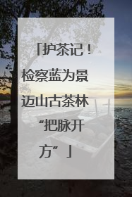 护茶记！检察蓝为景迈山古茶林 “把脉开方”