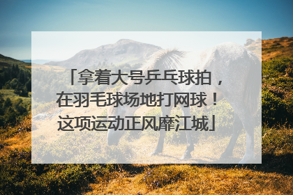 拿着大号乒乓球拍，在羽毛球场地打网球！这项运动正风靡江城