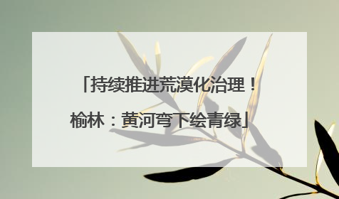 持续推进荒漠化治理！榆林：黄河弯下绘青绿