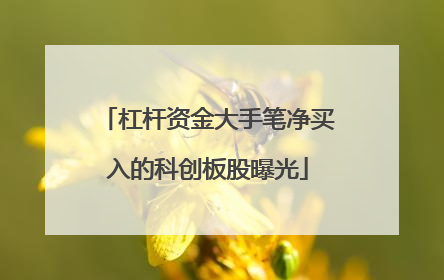 杠杆资金大手笔净买入的科创板股曝光