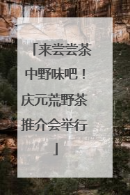 来尝尝茶中野味吧！庆元荒野茶推介会举行