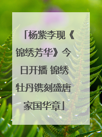 杨紫李现《锦绣芳华》今日开播 锦绣牡丹镌刻盛唐家国华章