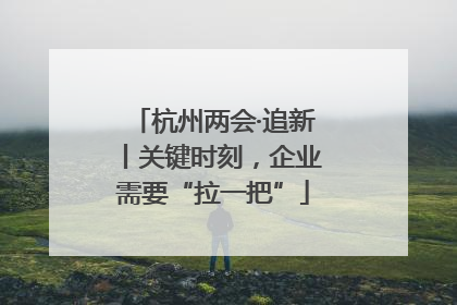 杭州两会·追新丨关键时刻，企业需要“拉一把”