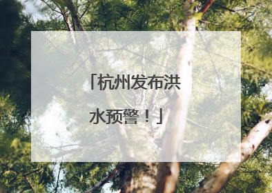 杭州发布洪水预警！