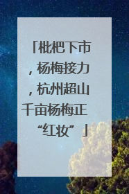 枇杷下市，杨梅接力，杭州超山千亩杨梅正“红妆”