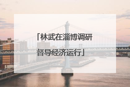 林武在淄博调研督导经济运行