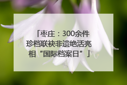 枣庄：300余件珍档联袂非遗绝活亮相“国际档案日”