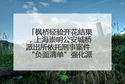 枫桥经验开花结果，上海崇明公安城桥派出所依托刑事案件“负面清单”强化派出所“主防”