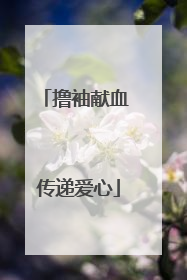 撸袖献血 传递爱心