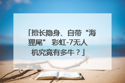 擅长隐身、自带“海狸尾” 彩虹-7无人机究竟有多牛？