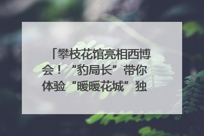 攀枝花馆亮相西博会！“豹局长”带你体验“暖暖花城”独特魅力｜西博视界