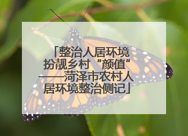 整治人居环境 扮靓乡村“颜值”——菏泽市农村人居环境整治侧记