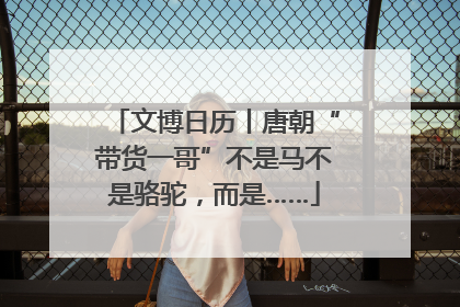 文博日历丨唐朝“带货一哥”不是马不是骆驼，而是……