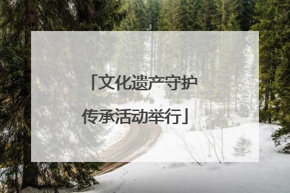 文化遗产守护传承活动举行