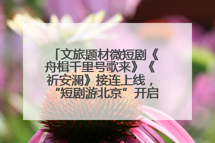 文旅题材微短剧《舟楫千里号歌来》《祈安澜》接连上线，“短剧游北京”开启大运河文化之旅