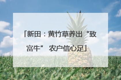 新田：黄竹草养出“致富牛” 农户信心足