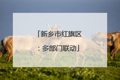 新乡市红旗区：多部门联动