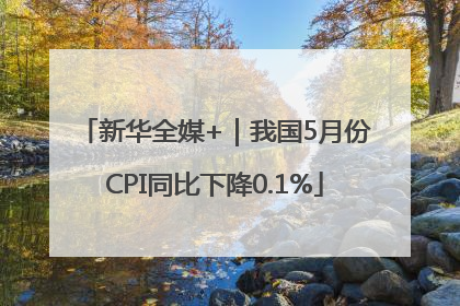 新华全媒+｜我国5月份CPI同比下降0.1%