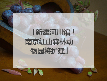 新建河川馆！南京红山森林动物园将扩建