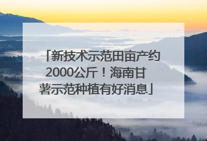 新技术示范田亩产约2000公斤！海南甘薯示范种植有好消息
