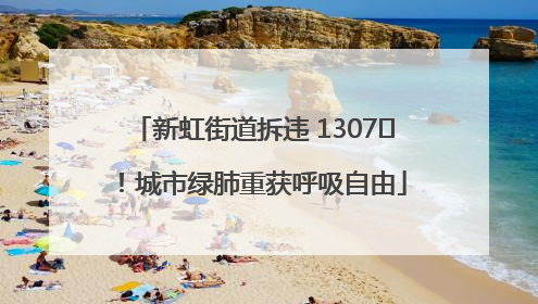 新虹街道拆违 1307㎡！城市绿肺重获呼吸自由
