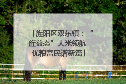 旌阳区双东镇：“旌益态”大米领航 优粮富民谱新篇
