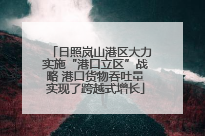 日照岚山港区大力实施“港口立区”战略 港口货物吞吐量实现了跨越式增长