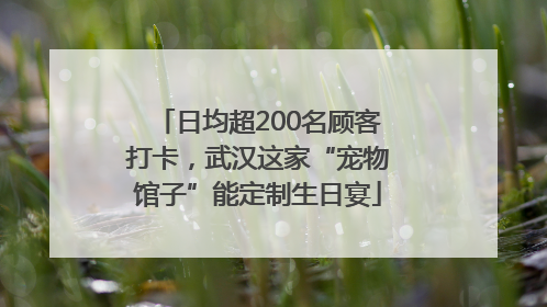 日均超200名顾客打卡，武汉这家“宠物馆子”能定制生日宴