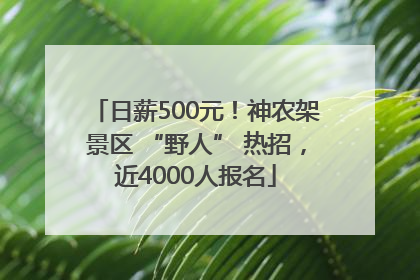 日薪500元！神农架景区 “野人” 热招，近4000人报名