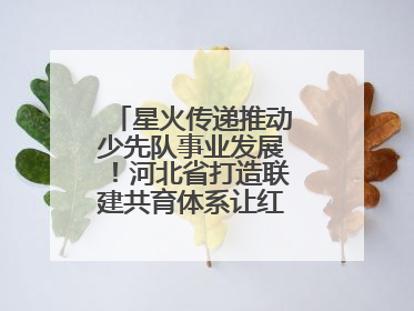 星火传递推动少先队事业发展！河北省打造联建共育体系让红领巾更鲜艳
