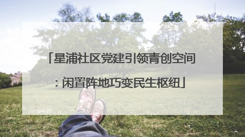 星浦社区党建引领青创空间：闲置阵地巧变民生枢纽