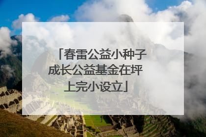 春雷公益小种子成长公益基金在坪上完小设立