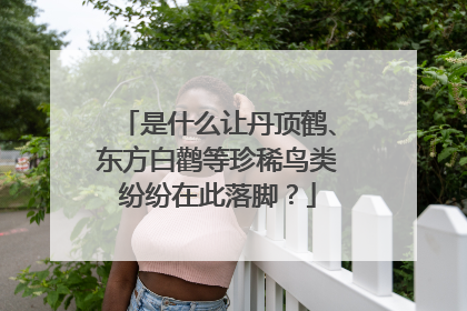 是什么让丹顶鹤、东方白鹳等珍稀鸟类纷纷在此落脚？