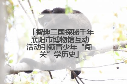 智趣三国探秘千年 襄阳市博物馆互动活动引领青少年“闯关”学历史
