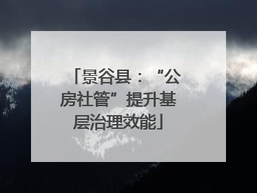 景谷县：“公房社管”提升基层治理效能