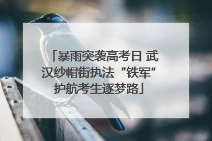 暴雨突袭高考日 武汉纱帽街执法“铁军”护航考生逐梦路