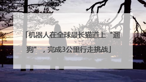 机器人在全球最长猫道上“遛狗”，完成3公里行走挑战