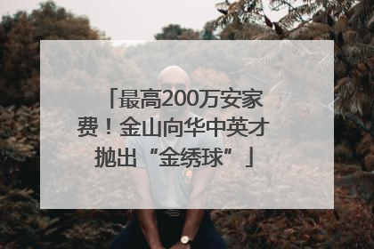 最高200万安家费！金山向华中英才抛出“金绣球”