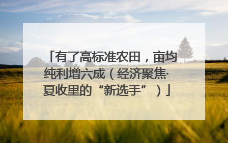 有了高标准农田，亩均纯利增六成（经济聚焦·夏收里的“新选手”）