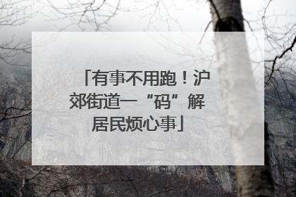 有事不用跑！沪郊街道一“码”解居民烦心事