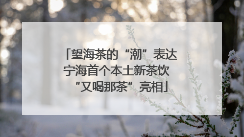 望海茶的“潮”表达 宁海首个本土新茶饮“又喝那茶”亮相