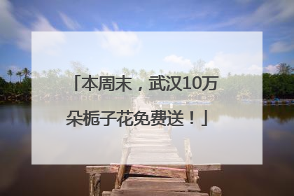 本周末，武汉10万朵栀子花免费送！