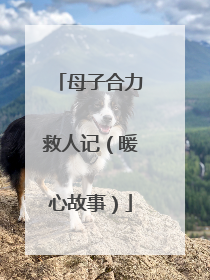 母子合力救人记（暖心故事）