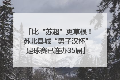 比“苏超”更草根！苏北县城“男子汉杯”足球赛已连办35届