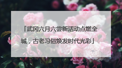 武冈六月六尝新活动点燃全城，古老习俗焕发时代光彩
