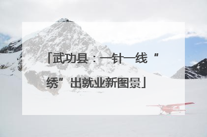 武功县：一针一线“绣”出就业新图景