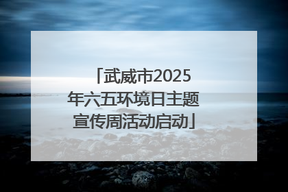 武威市2025年六五环境日主题宣传周活动启动