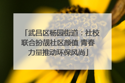武昌区杨园街道：社校联合扮靓社区颜值 青春力量推动环保风尚